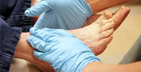 services